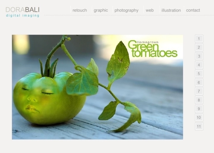 Website Portfolio Preview