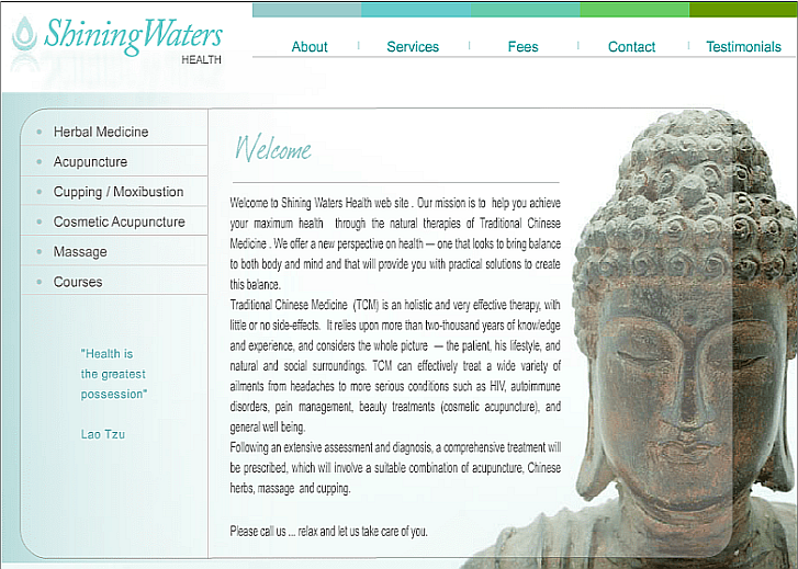 Website Preview
